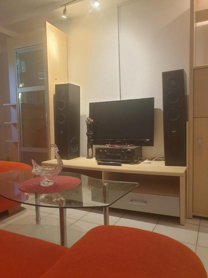 Sions Grosse Ferienwohnung Ferienwohnung Mit 3 Schlafzimmer, 2 Km Bis Zum Europapark Rust Kappel-Grafenhausen Esterno foto